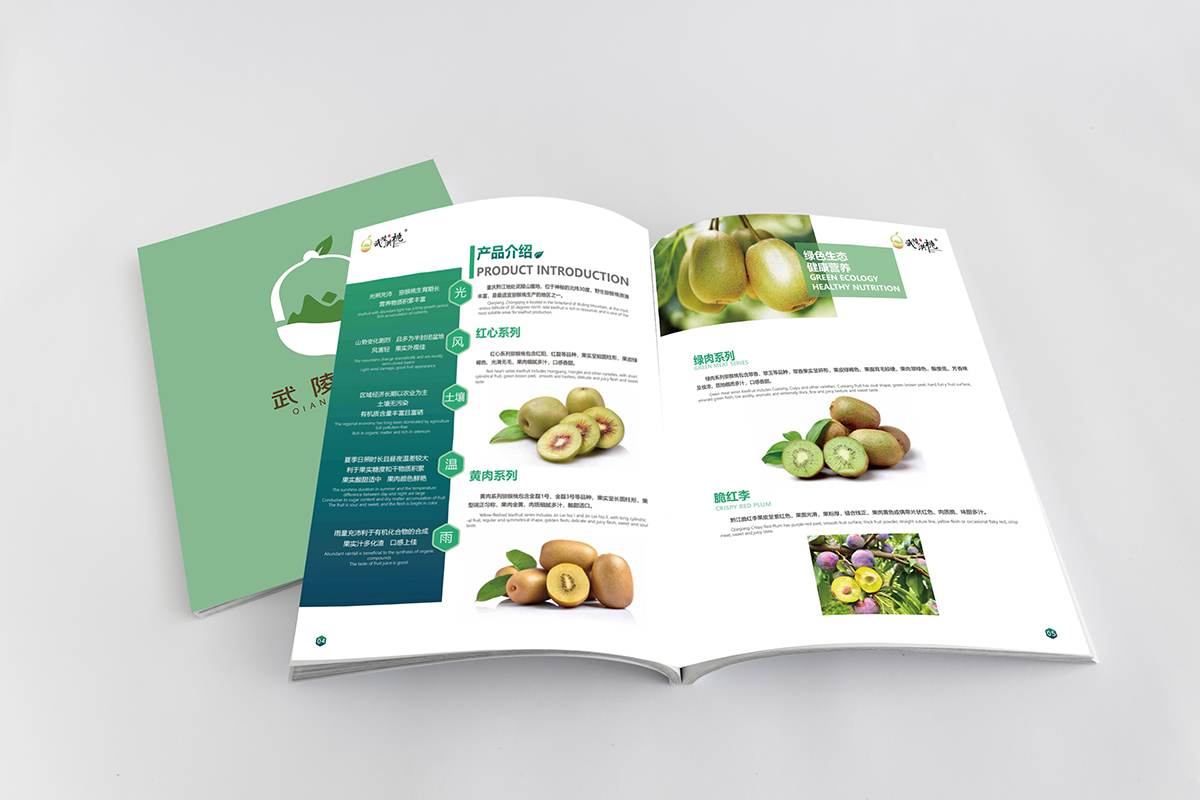 常州宣传册设计 常州宣传册设计
