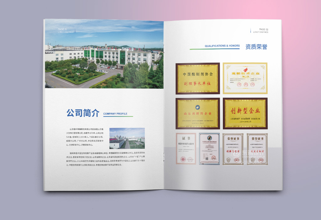 南京企业宣传册设计公司